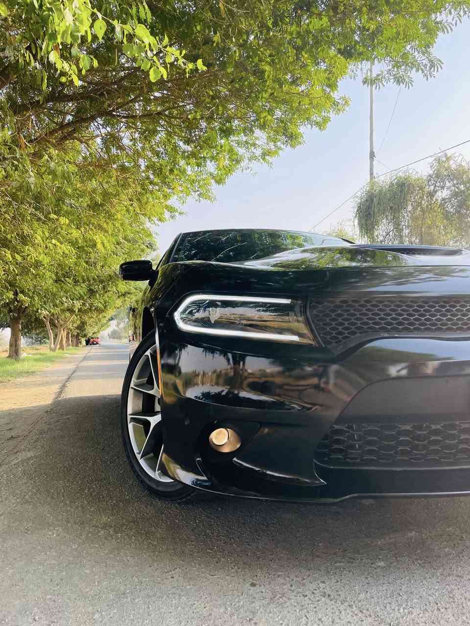 سلام عليكم جارجر موديل23
دخول جديد 

الاصدار الاخير

اصل جيتي مكينة ٣٦٠٠

 كشن حض 

شاشة جبيرة ويل عشرين 

حساس خلفي موصفات معروفة 

بدون رقم تترقم 

السعر ٢٢٥وبيهة مجال 

‏***********
