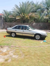 اخوان بيع او مراوس ب انتره   07803770833.       اتصال