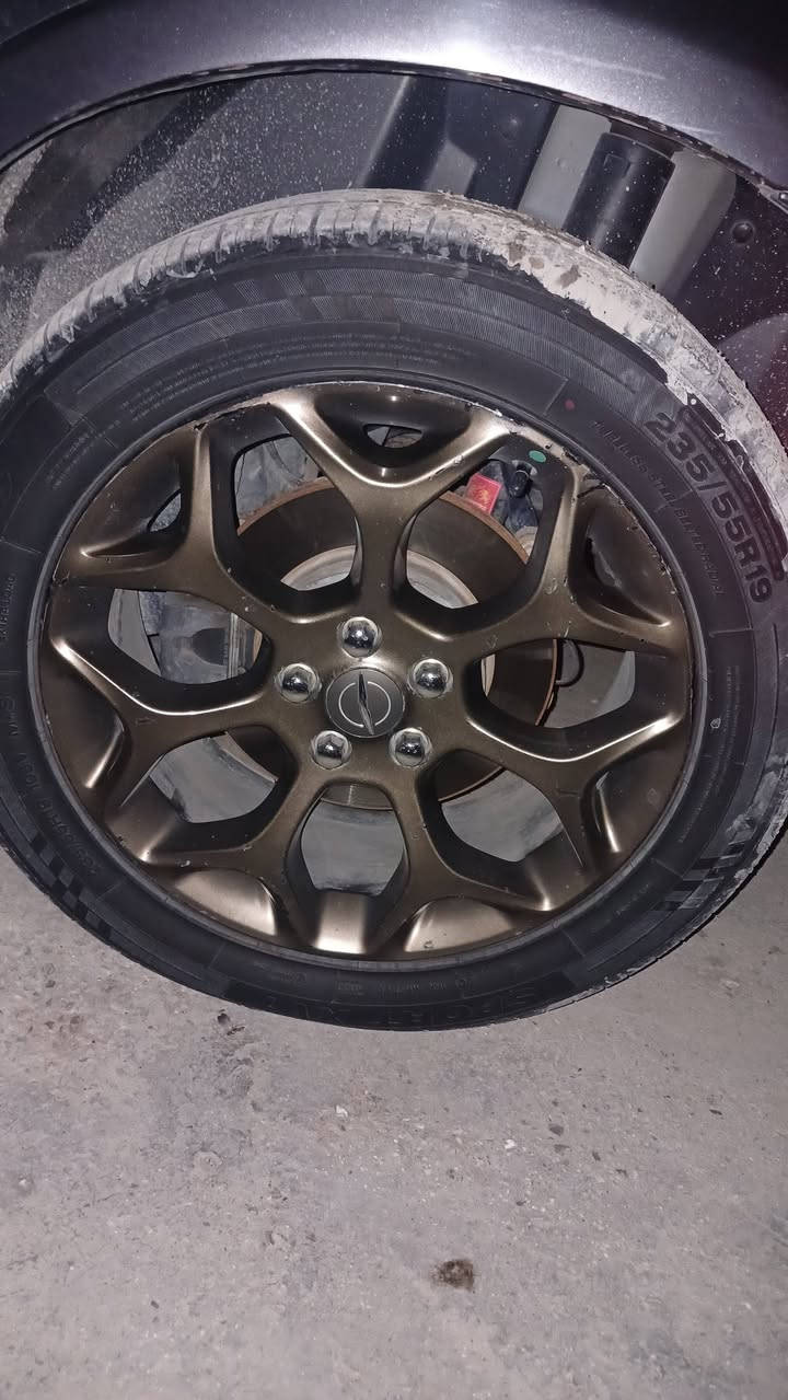 سلام عليكم اخوان عدي هاذه الويل عنكبوتي حجم 19 اريد اراوسه بكروم او بوليسي او مكسيكي حجم18 اي ستفسار  *********** مكان بغداد
