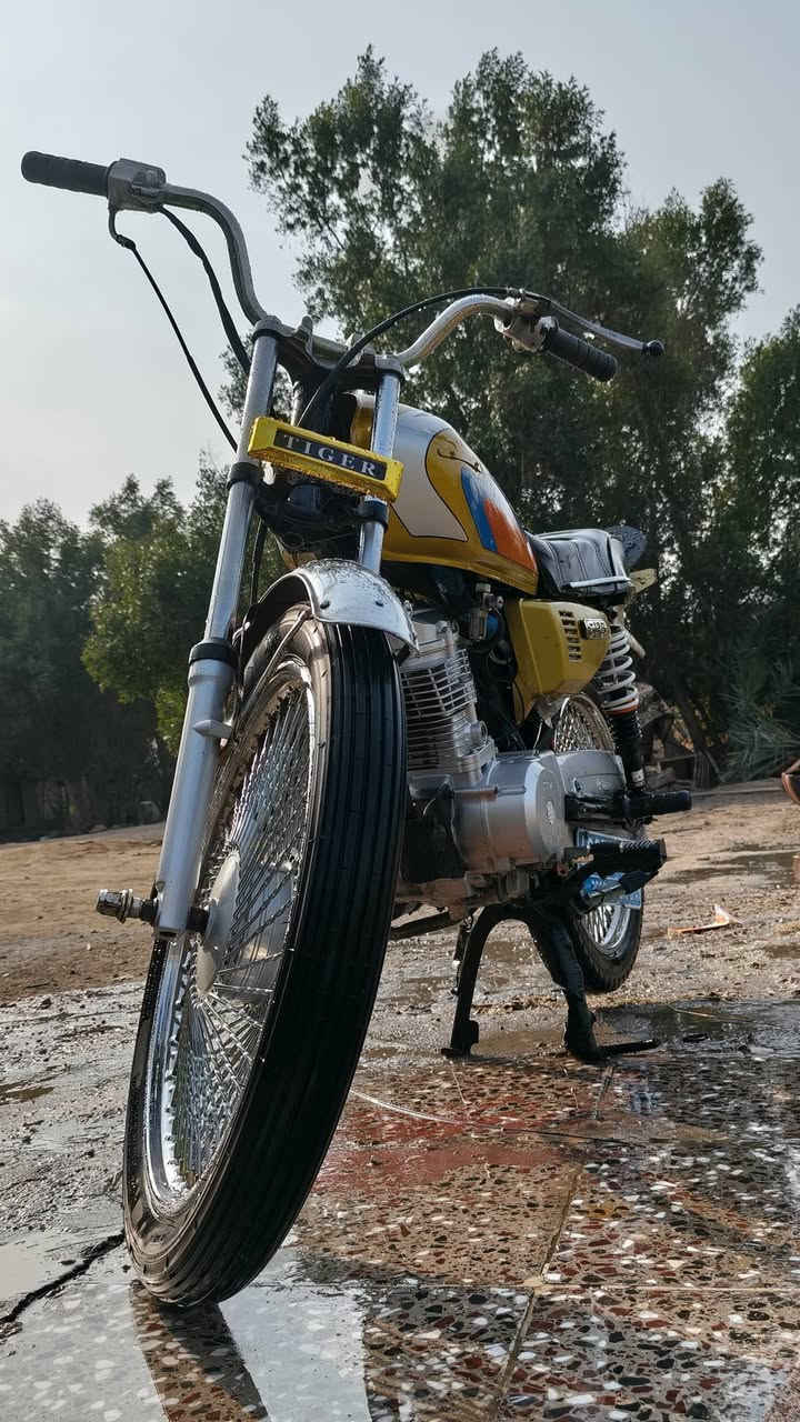 سلام عليكم إخوان نامه البيع 2015تعمير جديد بس والفات السعر 450وبيه مجال الشراي ينتصل ***********
كوفه ناحيه الحريه
