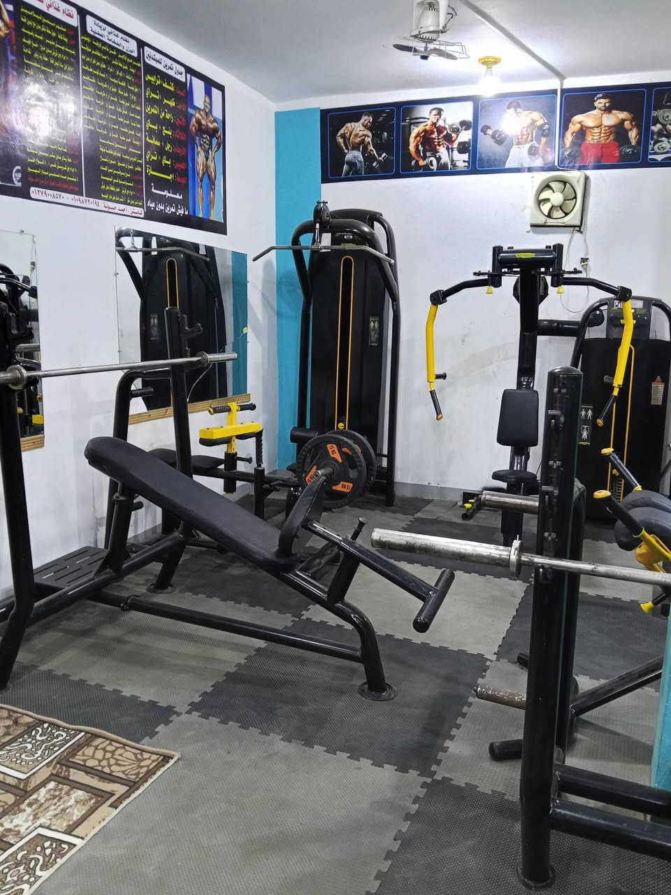 محتويات جيم كامل للبيع
جهاز سحب عالي  تكنو 
جهاز سحب ارضي تكنو 
جهاز فراشة  تكنو 
جهاز كابل كراوس تكنو 
جهاز أمامية رجل  تكنو 
جهاز خلفيه رجل تكنو 
جهاز دفع رجل طياره 
جهاز اسميث زيرو
جهاز همر ظهر فري ويت
جهاز كتف امامي في جانيبي
دكه بنش عالي
دكة بنش مستوى 
2 دكه متحركه 
دكة بطن 
دكة حصان 
كرسي كتف
 طرمبة مسند 3 مستويات 
سمانه 
جهاز عقله في متوازي في بطن
قطانية
 حامل اسكواد 
حامل دنابل 
حامل طارات 
415 كيلو دنابل
415 كيلو طارات  
2 بار كبيرة+ 1بار زجزاج+1 بار مستقيم+2 حبل مجوز+1 مسطرة زجزاج+1 مسطرة مستقيم+ 1مسطره تمانيه 
2 قبضه فردي+ مسطرة واسع سحب عالي+ قبضة سحب
 ارضي  
عجله وزن مفتوح زيرو
 مشايه وزن 160
مشايه وزن مفتوح اسبرنت
   للتواصل فون اوتس 
01010935326


**إذا كنت صاحب هذا الإعلان وتريد حذفه لأي سبب، رجاءا أرسل رسالة إلى الدعم الفني**