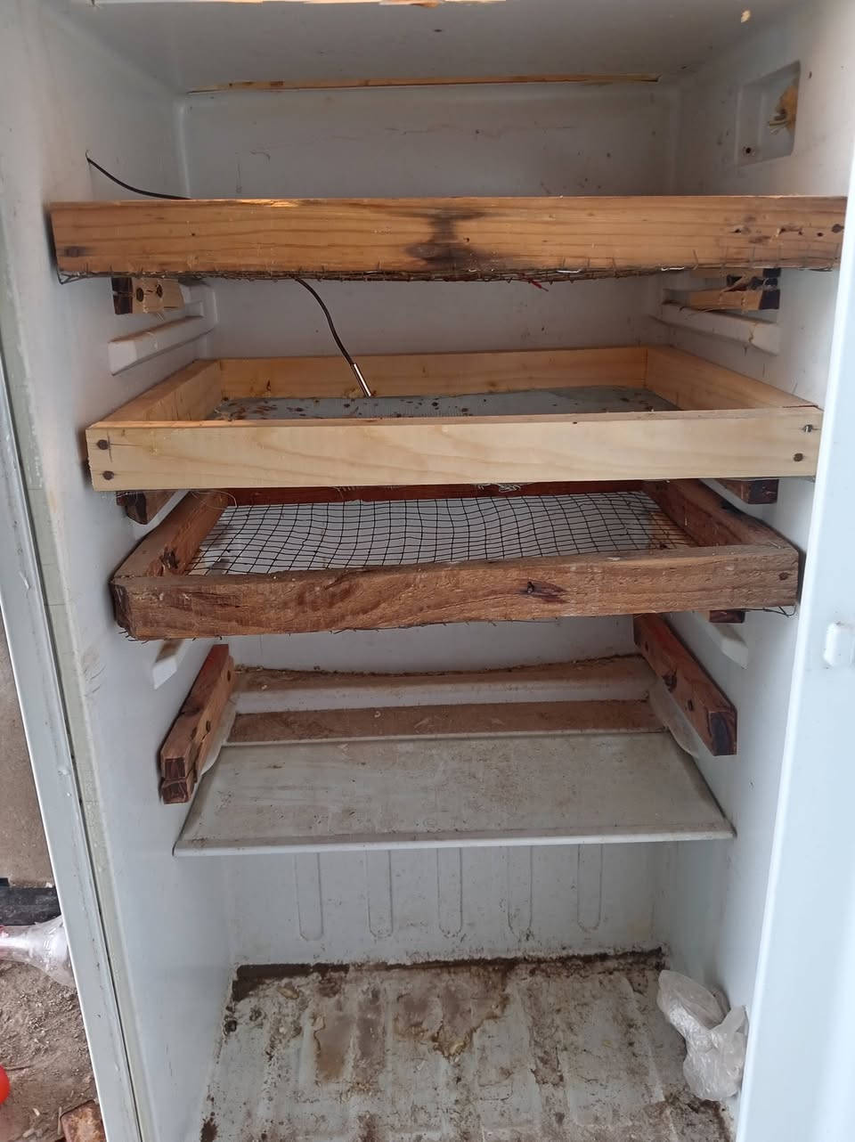 مفقس 250 بيض  للبيع  ***********
