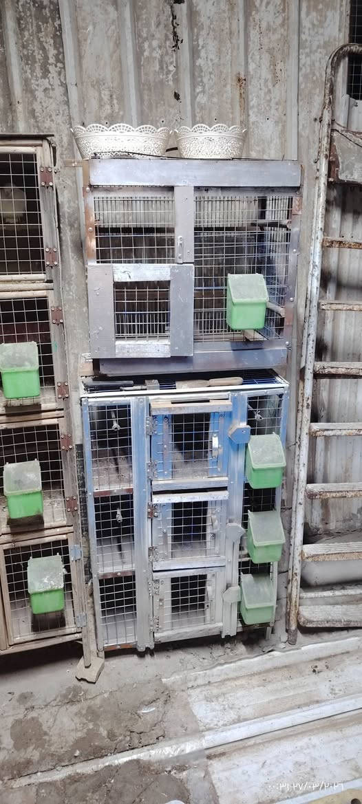 السلام عليكم متاح خانات للبيع ام ال 10 كامله طوافه وسله ب 35 وام الاربعه طوافه كامله ب20 قفل وام الثلاثه ب 10 قفل مكاني جكوك قرب البالات رقم 📱 ***********
