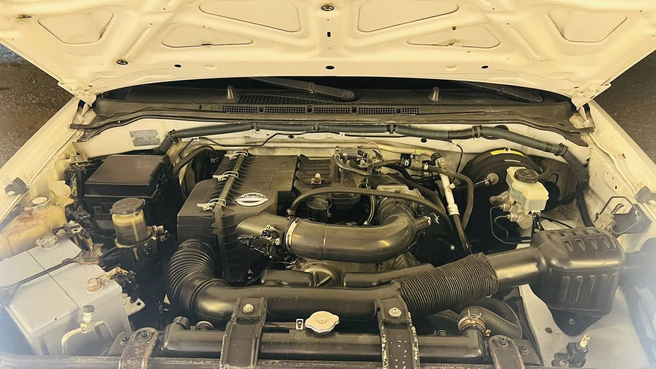 سلام عليكم سياره نيفاره الفين 9 مكفولا كفاله عامه بيها باردات بل كرن مال البدي سياره جاهزه علا اخر حبه تخم تاير جديدصدر امامي خلفي علا ايدي مكينه وكير شرط لا تنقيص لا تبخير كير عادي 6 نمر ماعده لبك سياره بلديه مكينه رقم سليمانيه هزه جديده سنويه تنتهي لي سنه30 السعر 117 /وبيها مجال لشراي مكاني تكريت صلاح الدين التصال علا هاذا رقم ***********
