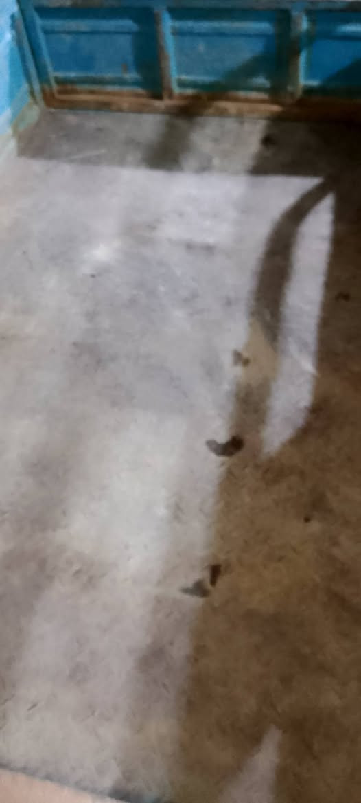 سلام عليكم ستوته لبيع مديل 20ستوته نضيفه بس بيه خياس  بصفحه +تخم تاير +باتري جديد+ شاير جدد +لايت جديد+  كابريته جديده ستوته نضيفه شغل وطلع سعر1500وبيه مجال رقمي*********** وانه خادم
