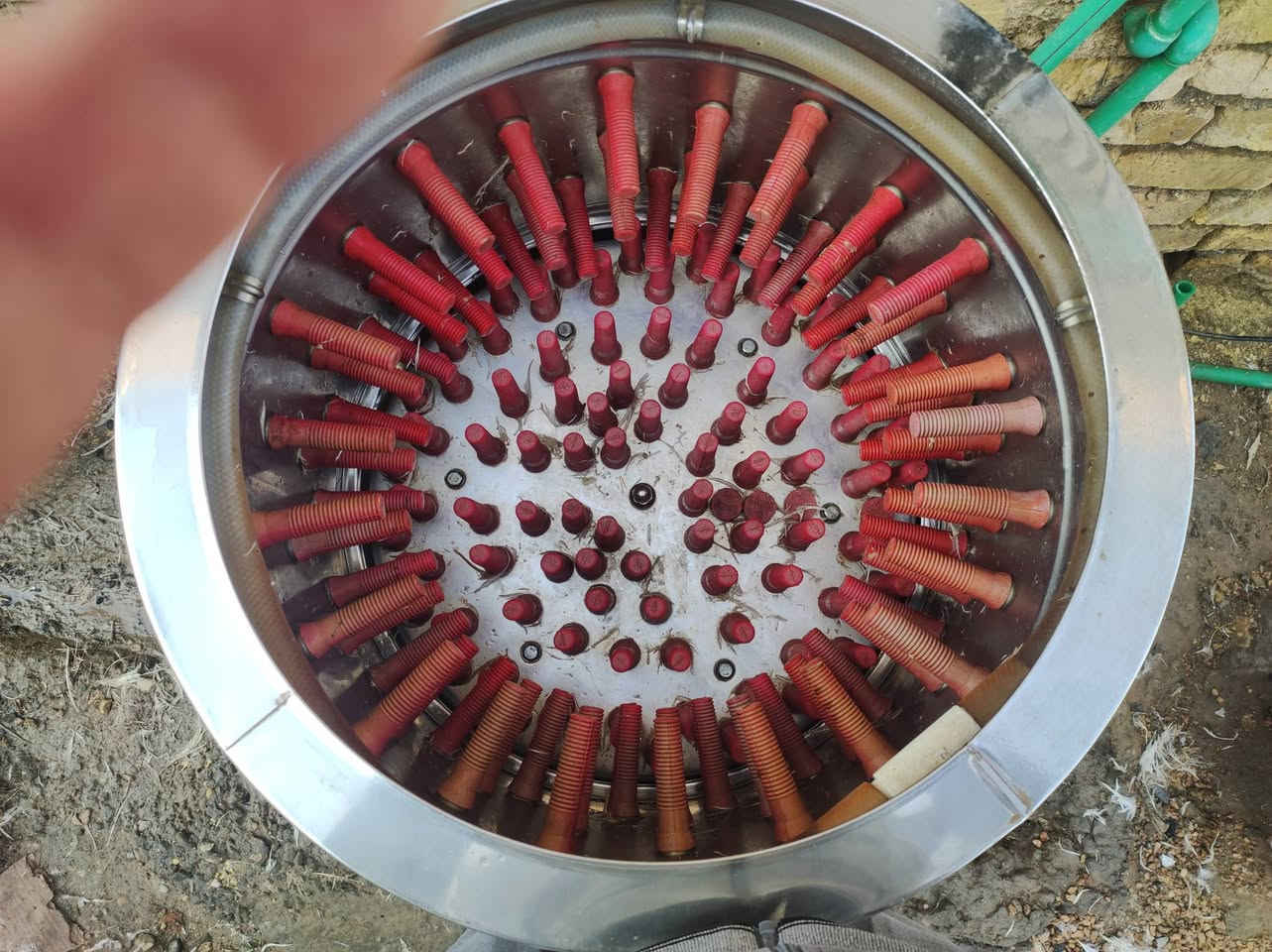 هلاسه جديده مشتغله شهر واحد 300 وبيه مجال للتواصل ***********
