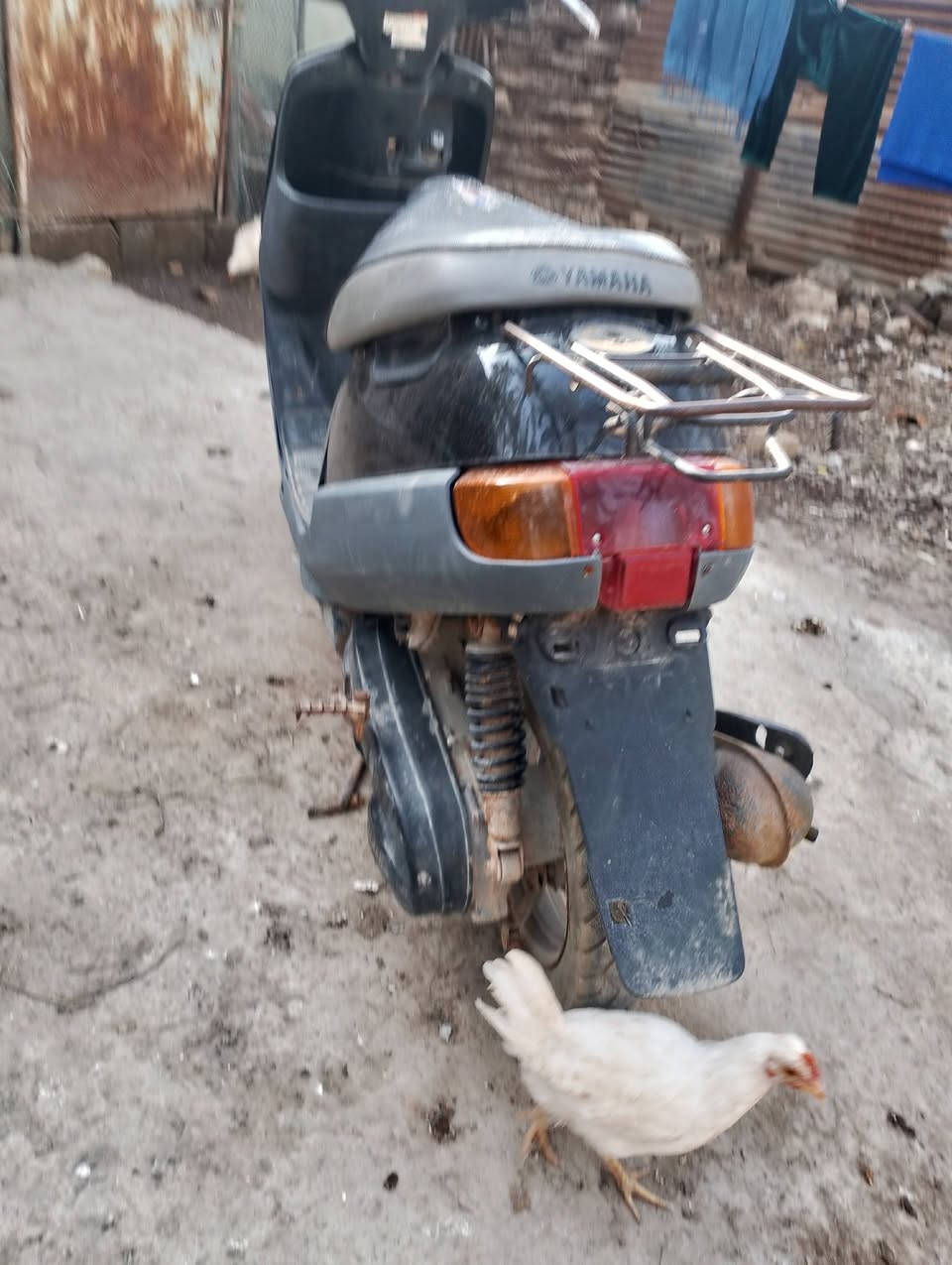 السلام عليكم دراجة بطة خطين للبيع خير من الله   كهربائيات شغاله مكان مسيب سعر 200 اي ستفسار ؏ رقم ***********
