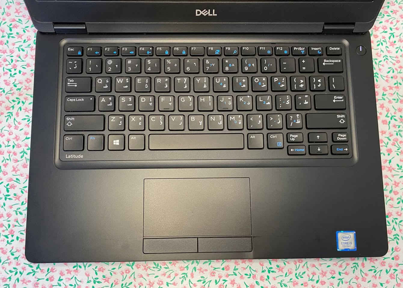 💻 Dell Latitude 5480 | الأداء المتوازن والاعتمادية

يُعد هذا الجهاز من الفئات الأكثر طلباً لطلاب الكليات والموظفين الباحثين عن جهاز يجمع بين السعر الاقتصادي والمتانة العالية. بفضل معالج الجيل السابع وهارد الـ SSD، ستحصل على سرعة ممتازة في إنجاز البحوث، تصفح الإنترنت، والعمل على حزمة برامج الأوفيس (Word, Excel). كما أنه مناسب جداً لتشغيل الألعاب الخفيفة مثل (Minecraft، Roblox، و League of Legends) وبرامج التصميم الأساسية، مما يجعله رفيقك المثالي للدراسة والعمل اليومي.

🔍 المواصفات التقنية:

المعالج: Intel Core i5 (الجيل السابع - فئة U الموفرة للطاقة).

الرام: 8GB DDR4 (لسرعة أداء واستجابة عالية).

الهارد: 256GB SSD (إقلاع للنظام في ثوانٍ معدودة).

الشاشة: 14 بوصة (حجم عملي ومثالي للتنقل).

الكيبورد: ستيكر (عربي/إنجليزي).

🎁 الملحقات:
(حقيبة، شاحن أصلي، ماوس، ماوس باد).

🛡️ الضمان والخدمات:

فحص المواصفات والنظافة قبل الاستلام.

ضمان استبدال لمدة أسبوع كامل.

تنصيب ويندوز والبرامج الأساسية مجاناً.

💰 السعر: 230,000 دينار عراقي.

📍 الموقع: بغداد - الأمين الثانية.
🚚 التوصيل: متوفر لجميع محافظات العراق.

📞 للحجز والاستفسار:
***********
***********
