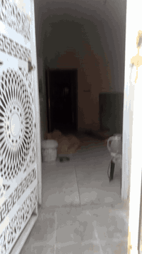 اللهم صلي على محمد وآل محمد
بيت الايجار 
مساحه 55 متر 
غرف نوم 3
مطبخ حمام 
بيت نضيف العمال بعدهم ما طالعين 
منه باجر يكمل 

الايجار 500الف وبي مجال الطيببن 
العنوان خلف سوك شلال 
قرب منفذ الخيمه 

#مكتب_السعيدي_العقار! 
الاستفسار.. 
***********
 ارجوو الامعذره التصوير مو المكتب 👑
