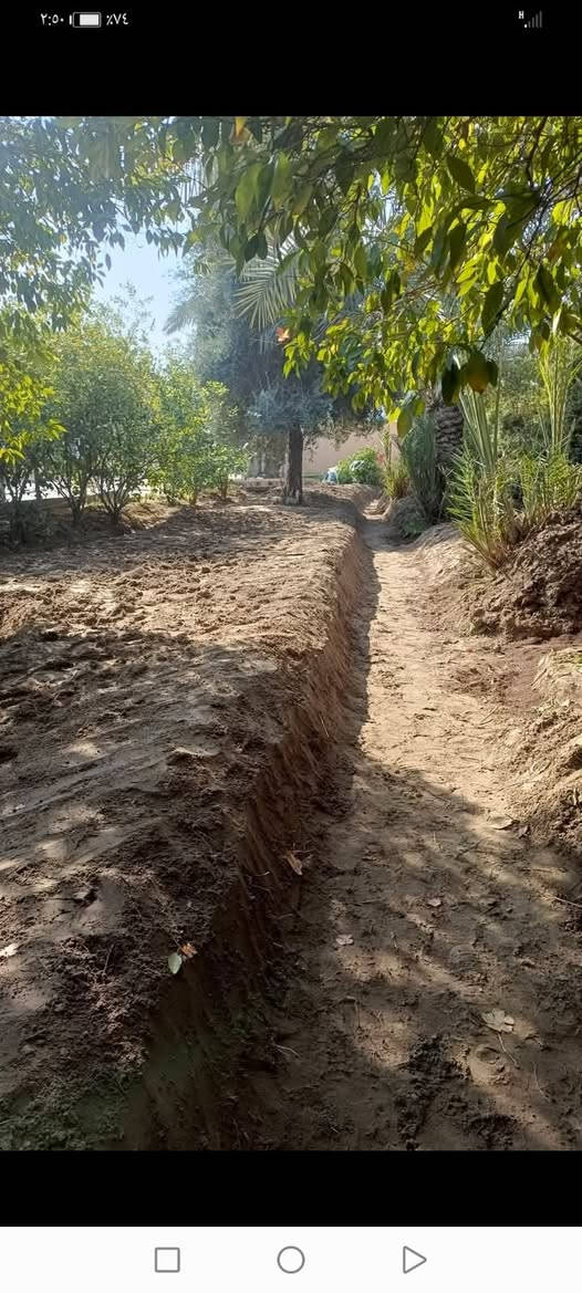 السلام عليكم نشتغل شغل حر اي شيء نشتغل الي عنده شغل يتصل على هاذا رقمي *********** نشتغل الطارميه وتاجي عنوان زملت حمدي♥
