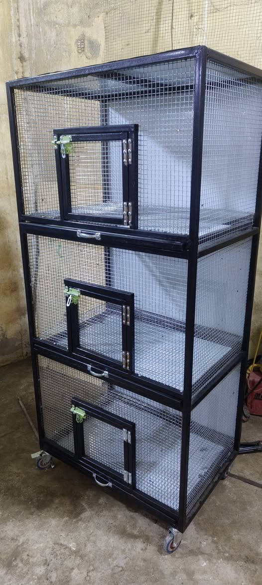 متوفر اقفاص حضانات اقفاص دجاج
العنوان ديالى بعقوبة 
***********
