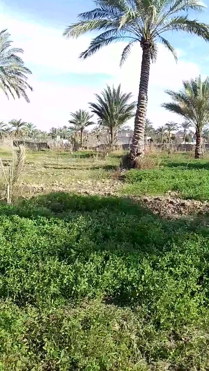 السلام عليكم
للبيع
 دونم ملك صرف في شاطئ التاجي خلف معسكر التاجي منطقة البوشاوي شارع الملالي
كامل الخدمات ماء كهرباء تبليط حصة ماء من نهر دجلة تفاصيل اكثر الاتصال على الرقم التالي 
***********
*********** ابو وسام
