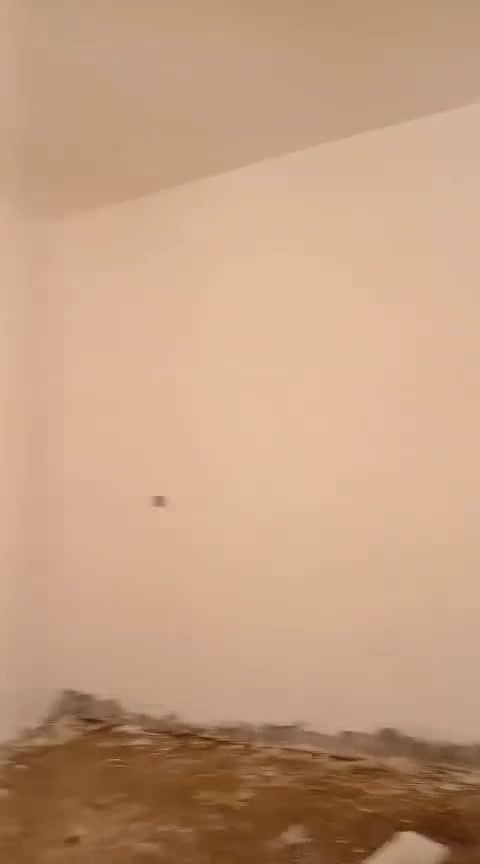 خلفه البخ ومخمر شغل درجه ***********
