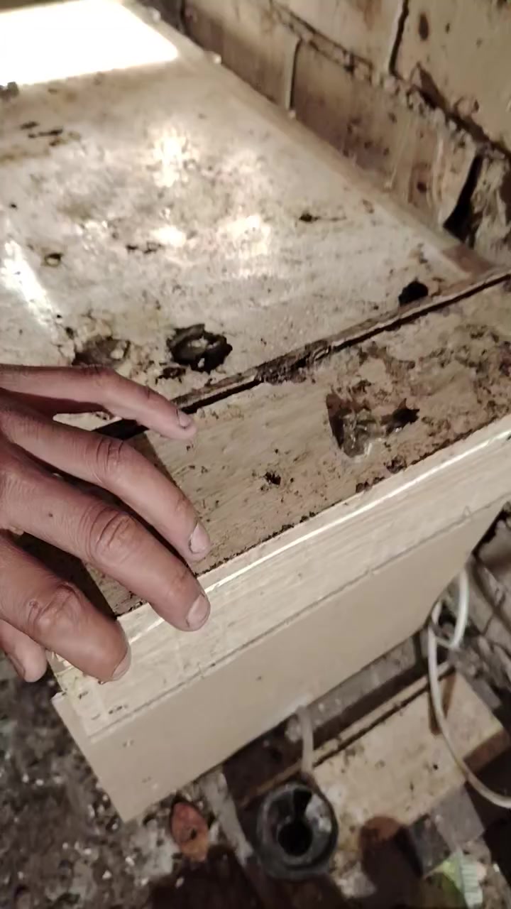 متاح فقاسه شرط التفقيس


**إذا كنت صاحب هذا الإعلان وتريد حذفه لأي سبب، رجاءا أرسل رسالة إلى الدعم الفني**