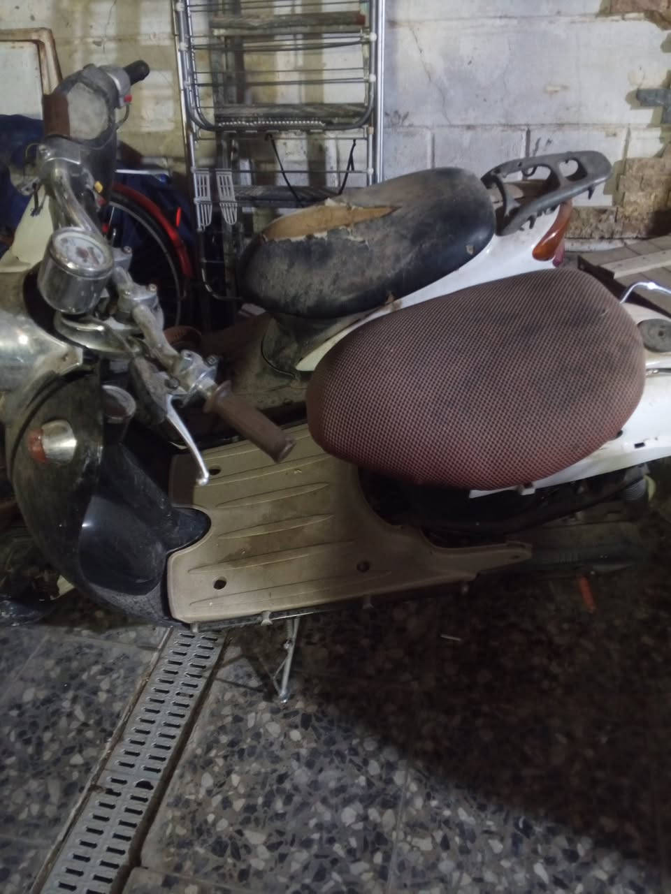 السلام عليكم عندي دراجتين عصفوريه وكلاسك كوم حديد قيم واخذ ***********
