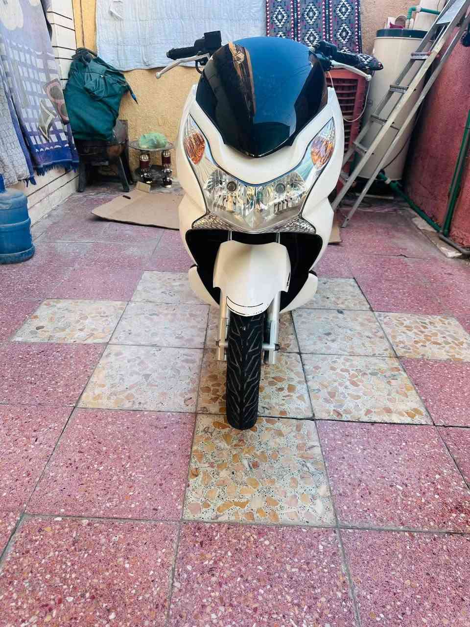 Pcx
دراجه رمبه 
مكفوله كفاله عامه 
حساس استان شغال 
حساس ازدحام شغال 
كهربايات كلهه شغاله 
مكينه بلجيس تخبل 
دراجه جديده مال جناي 
ورقت مزاد وياهه 
مكينه وكفر كفاله 
السعر 12ونص 
عنوان زعفرانبه 
بيهه مجال حك الجيه 
ماشيه 45
***********
***********
