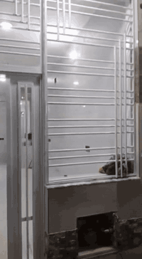 الروضتين • بيت للايجار • بدون دلال