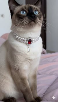 يتوفر قلادات قطط عمل يدوي بجميع الالوان و القياسات للقطط يتوفر خدمة تو...