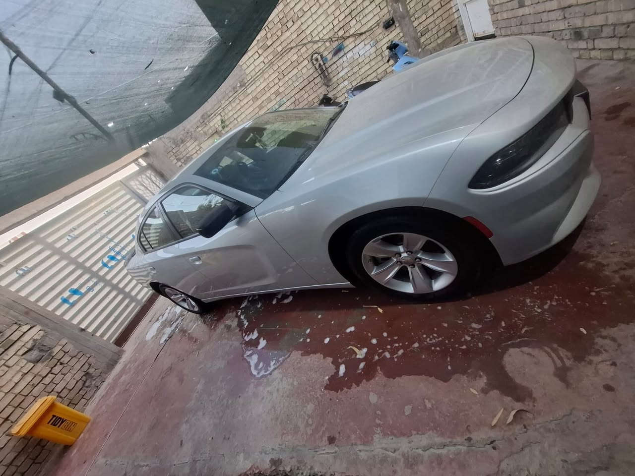 سلام عليكم اخوتي رمضان كريم عليكم جارجر مديل 23 ماشيه 9 الف خليجيه كفاله عامه ومغلفه بي بي أف بل كامل مكان سيارة بغداد وباسمي بغداد رقمه تحويل ثاني يوم السعر 285 وبيه مجال شي قليل ***********
