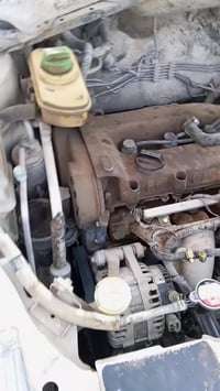 ورحمه الله وبركاته اخواني اليوم انصحكم لا تمشي ورة كلام ابو الدهن نصيح...