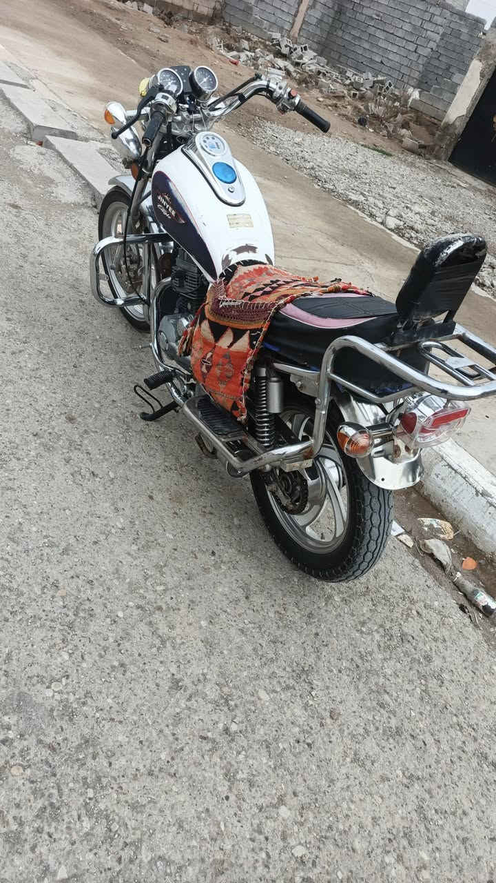 السلام عليكم
دراجه جني 2016 أوراق كامله 
دراجه نضيفه مثل بالصورة 
مابيها كل نقوصات 
السعر 450 للاتصال ***********
