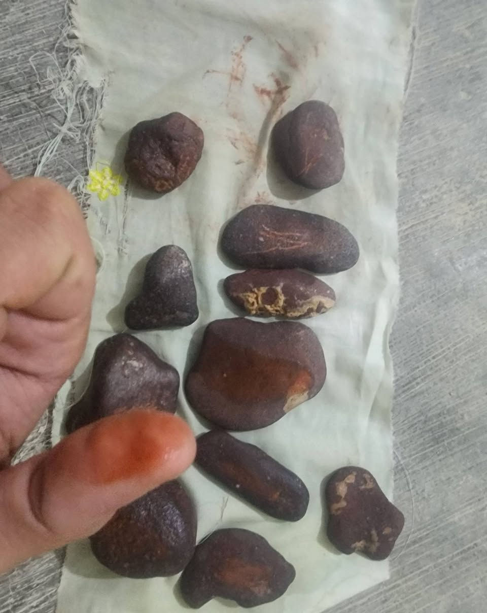 سلام عليكم اخوان عندي حجر هبهاب ملاكط اصلي للبيع


**إذا كنت صاحب هذا الإعلان وتريد حذفه لأي سبب، رجاءا أرسل رسالة إلى الدعم الفني**