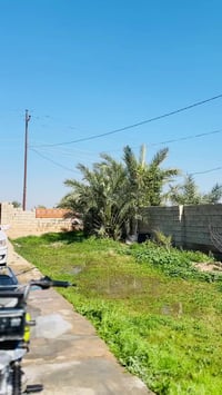 تايكر • مديل 25 • دهان شركة