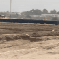 سفينه • 200م • طابو اسهم