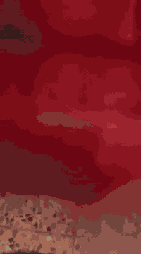 بصرة • ايراني • موديل 2023