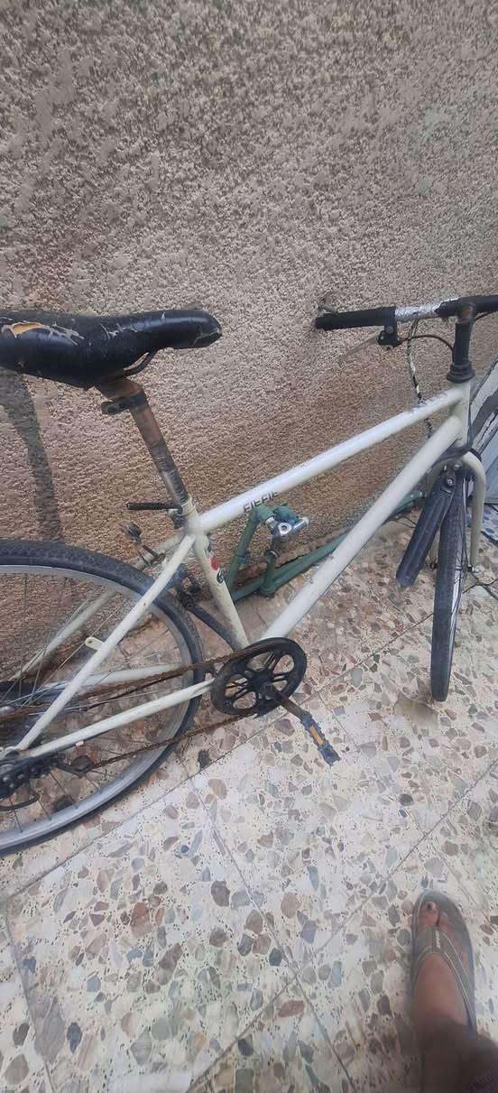 بايسكل للبيع مابي اي نقص السعر ٧٥ مكان بالحسينيه


**إذا كنت صاحب هذا الإعلان وتريد حذفه لأي سبب، رجاءا أرسل رسالة إلى الدعم الفني**