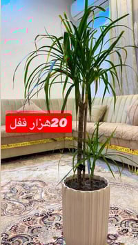 ئه ف كوله خرته بيعي نه كلك راقينه 0750 4263490