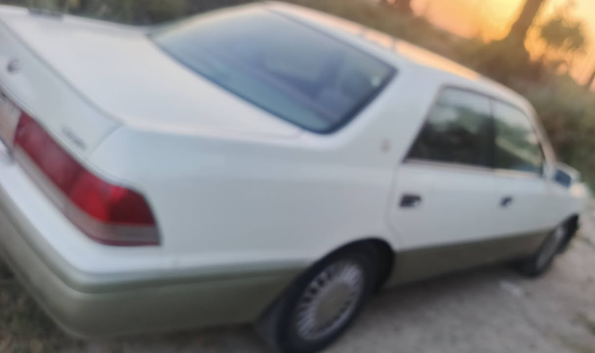 سلام عليكم من رخصت الادمن
راس ثور موديل 96 سنويه 28 رقم انبار مشروع وطني سياره جاهزه مكفوله من العيب الشرعي والصوليات محرك 2500 كيبر حديده محرك كفاله نقص كمبريسر ضعيف السعر 95$
العنوان ذي قار رفاعي تحويل مباشر


**إذا كنت صاحب هذا الإعلان وتريد حذفه لأي سبب، رجاءا أرسل رسالة إلى الدعم الفني**