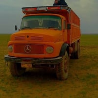 يوجد اقچم تك لنقل الحب ..الاتصال07817045335