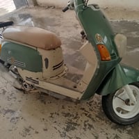 ماكس بوليسي • جاهزه • كهرباية