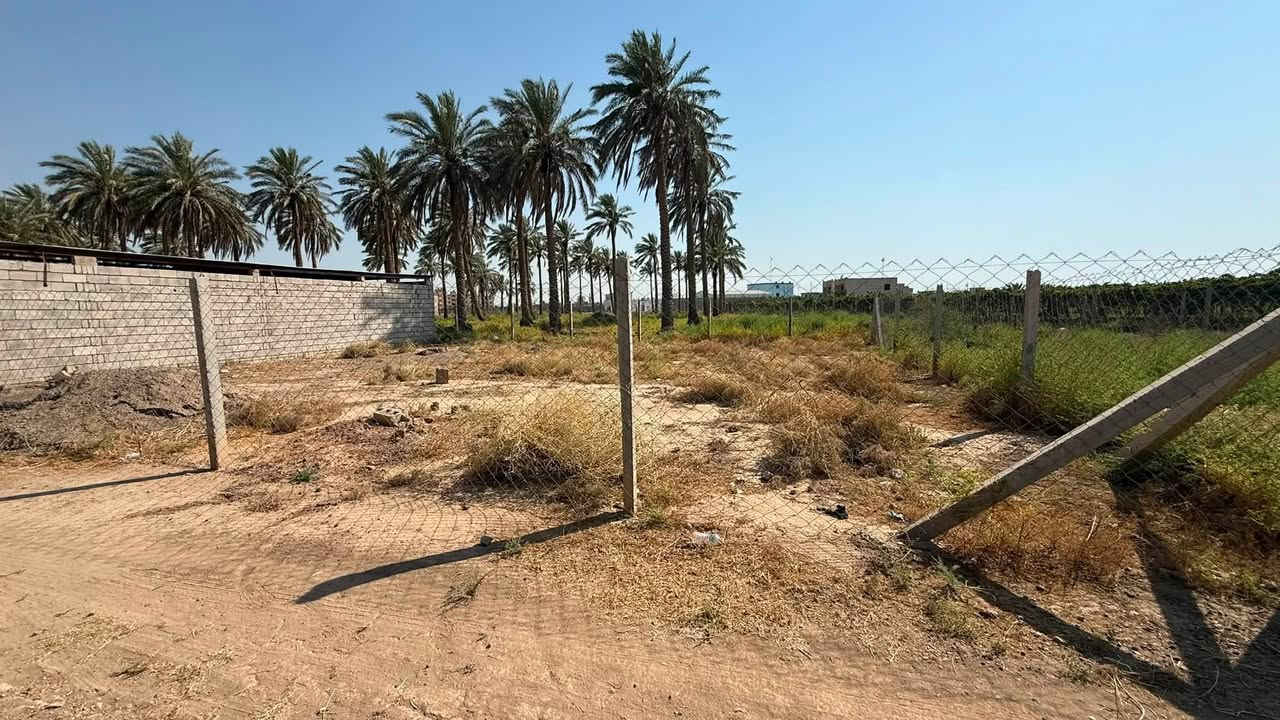 من رخصت الادمن
سلام عليكم على بركه الله يتوفر قطعه ارض للبيع في قضاء بلد قرب مرقد السيد محمد (ع)
جنس العقار زراعي
المساحه 150 
وايضا تقع خلف دائره المرور ومجاور الشقق السكنيه 
للاستفسار اكثر التواصل عل الرقم ***********
