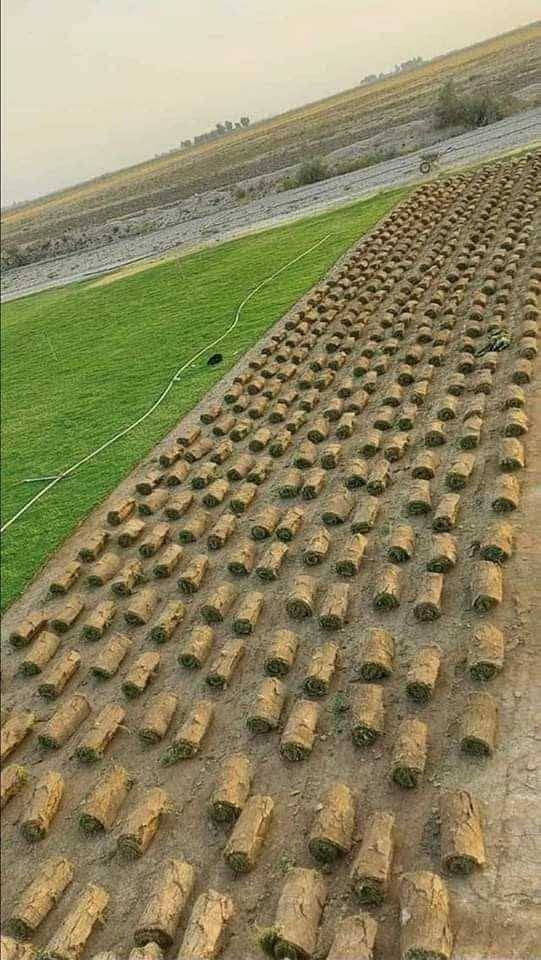 انتاج خاص بمزارعنا
حيث الجودة والسعر المناسب 

☘ثيل هندي طبيعي نوعية ممتازة🍀 مناسب للاستخدام في ( المنازل🌳_ الحدائق🌳_ الملاعب🌳_ الدوائر🌿) 

#انتاج_خاص #شكل_مثالي  #سعر_تنافسي

✨ سعر المتر يختلف للكميات الكبيرة ✨

يوجد خدمة توصيل لجميع محافظات العراق 

#ملاحظة : التوصيل مجاني ❤️

(مستعدون لتجهيز الحدائق المنزليه و الملاعب الرياضيه و المنتزهات و الدوائر الحكومية بكادر مختص مميز يجيك لباب بيتك #بأسعار #تنافسيه )
🍁للاتصال او الاستفسار  متوفر مفتوح طوال اليوم
*********** اتصال أو واتساب
*********** اتصال او واتساب
