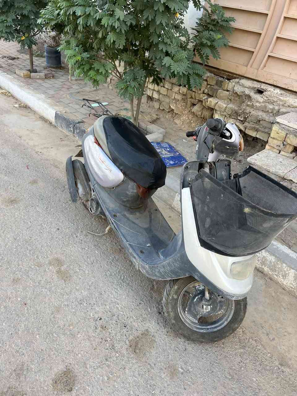 منغولي للبيع تجفيت صارله شهر ونص مكانهه كربلاء ملحق الفارس سعرهه 220 وبيهه مجال ***********
