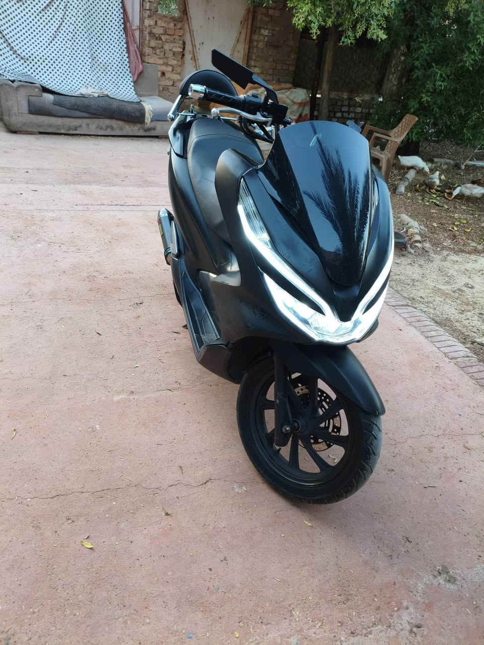 سلام عليكم اليدور مكينه بلجيس 
Pcx  جيل الثالث
 كفاله عامه مال جناي الله شاهد دهن امزويل وغير المحسن مادير بيهه صانصه اصليه كاتم صوته طرب 
مسويله ادامه كامله تخم تاير 
رايده ب12 ونص وبيه مجال 
مكاني مدينة الصدر رقم ***********
