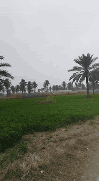 السلام عليكم دونمين للبيع المدائن منطقة الجعارة طابو ملك سند 25 قريبه عله الشارع للاستفسار الاتصال على الرقم ***********
