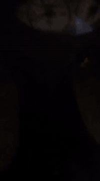 السلام عليكم دراجه نكره سلف اب اي وكت دراجه بلادي والله تاخذه تدعيلي كامله مكمله ومختمه  السعر 550 وببه مجال للطيبين   ***********    مكاني الطوبجي قرب سمير ابو الفلافل
