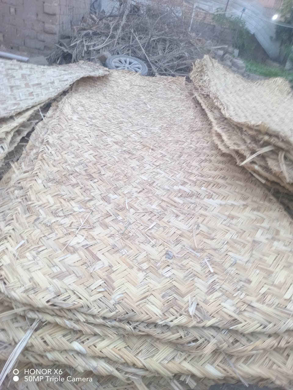 سلام عليكم اخوان بواري كصب للبيع العدد ١٦٢باريه يوجد كل الاحجام ومشبج العدد ٧ السعر خاص


**إذا كنت صاحب هذا الإعلان وتريد حذفه لأي سبب، رجاءا أرسل رسالة إلى الدعم الفني**