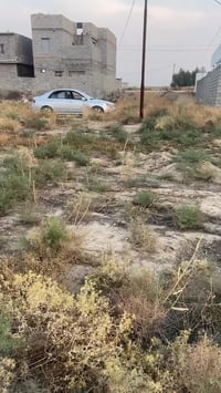 شارع المحسن • ٢٠٠م واجهة ١٠م • طابو سند ٢٥