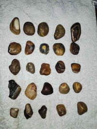 عقيق جزعى • عقيق سليمانى • كارنيلى