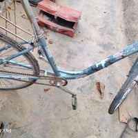 بايسكل • ٣٠ • جديد