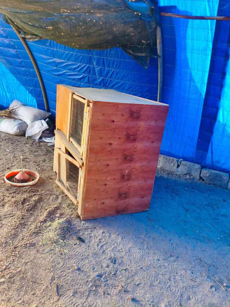 السلام عليكم ورحمه الله وبركاته 
يوجد بيت زجاجي 9 اقواس مع ليلون 
ويوجد فقاسه كامله ما مستخدمه سعة 1500 بيضه ويوجد صوبه نفطيه ويوجد مفرغات عدد 3
ويوجد اقفاص للافراخ عدد 2 
ويوجد معالف ماء واكل 
كل شي وسعره الي يريد يتواصل خاص او يتصل ***********
