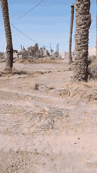 ٨٥٠م • طابو زراعي • سند ٢٥ منفرد