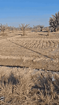 قطع سكنية للبيع طابو زراعي سند 25 مباشر على التبليط وبطرفها شارع يحيط بالأرض من الجانب
متوفرة كافة الخدمات. ماء + كهرباء + تبليط
الي يريد يشتريها شلع المساحه الكلية 3 دونم واجهتها 30 متر على التبليط بالإضافه للشارع الي بجانبها. والأرض لها نهر ماء خاص للسقي مباشر من الجدول. 
العنون: الحله_ الصياحية_ قرية حجي احمد 
تبعد عن شارع حلة_بغداد تقريبا كيلو
السعر على الخاص
او الإتصال على الرقم ***********
