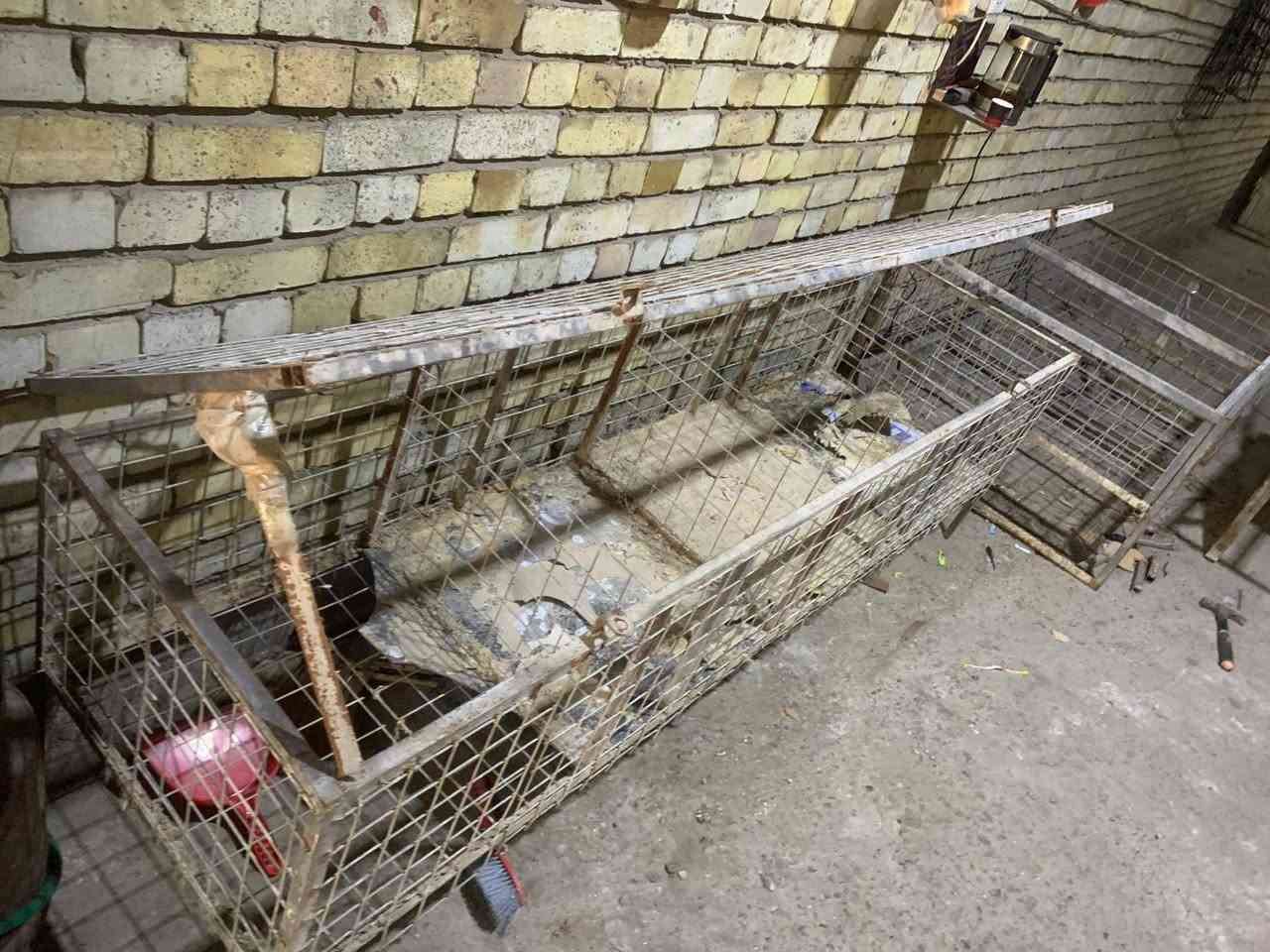 السلام عليكم شباب يوجد غراض مال دجاج وسمك شوايه مع هلاسه وقفاصه للبيع مكانهن الشعب للستفسار اتصل بارقم ***********
