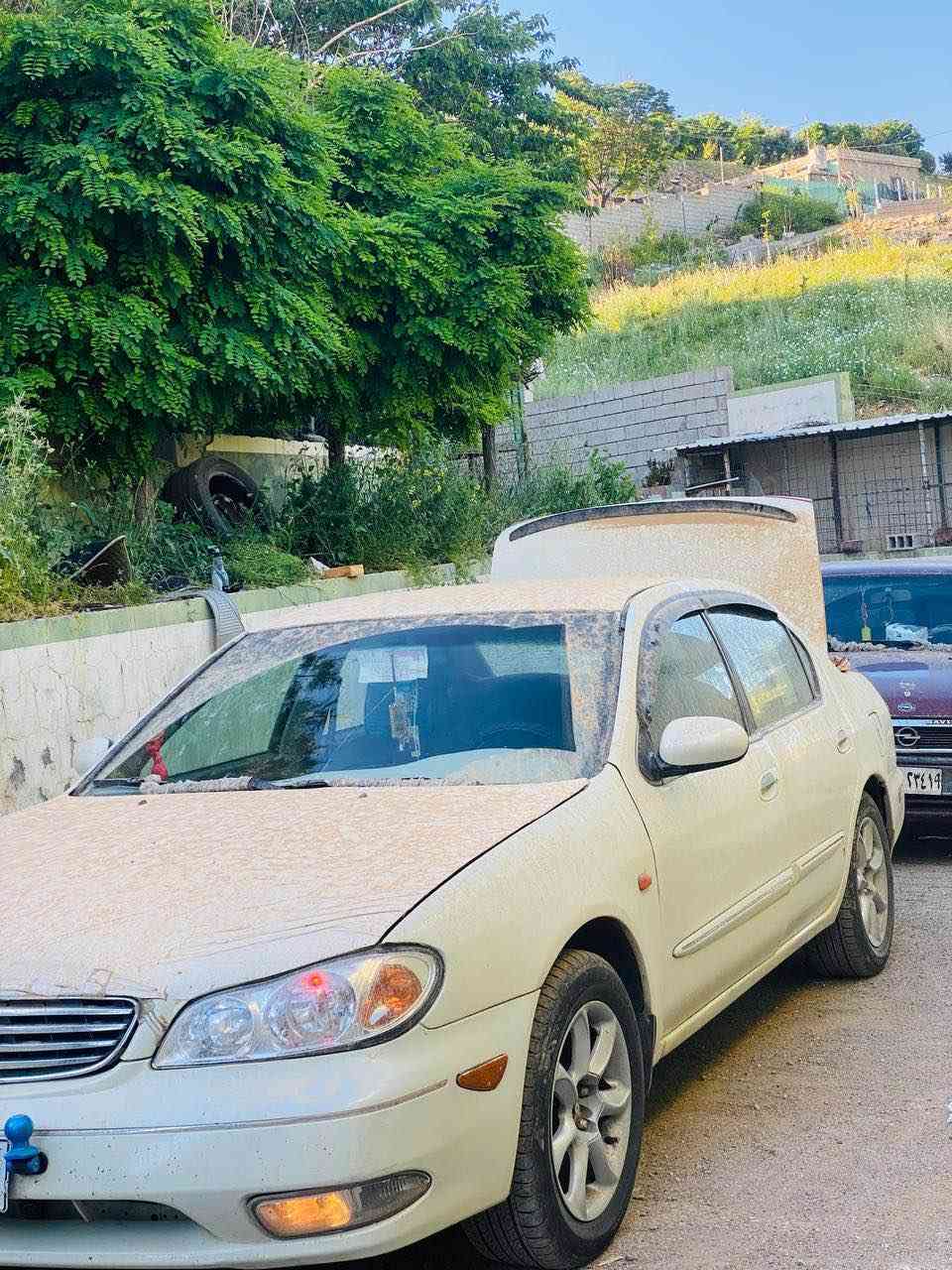 نیسان ماگزیما ٢٠٠٢ 
گێڕ عادی ئاڕم پلاسیکی سلێمانی 
گێڕو مەکینەو تەقەو ڕەقەی بەشەرت 
ئاڕم ئەوەلیات موس بڕاوە بەشەرت 
ماشاإلله زۆر تندو تۆڵە سەیارەی ماڵە هی مەعرەز نییە
سعری ٤٦ گەڵایە کەمێک معامەلەی تیایە ڕەحمەتت لێبێ موشتەری نیت سەرمان مەیەشێنە لەگەڵ ڕێزم شوێن سلێمانی

ژ.م ***********
ژ.م*********** Singapore
