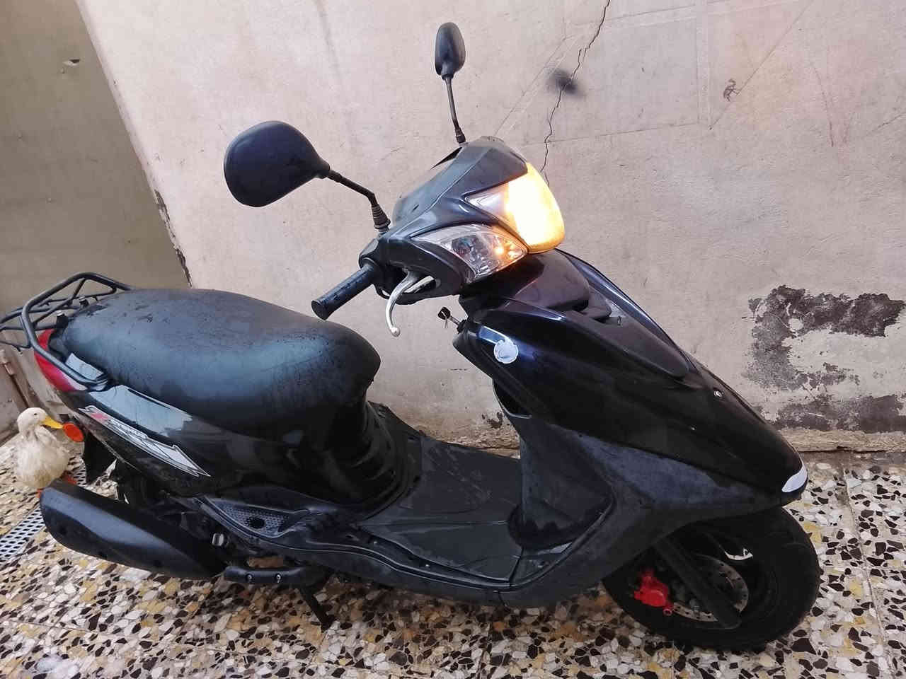 بريز ببغاء سرعه 140 نوزل سكليتر خطين كله مختمه كله شغاله اي نقص مابيه دراجه جديده لوك السعر 700 مكاني بغداد ***********
